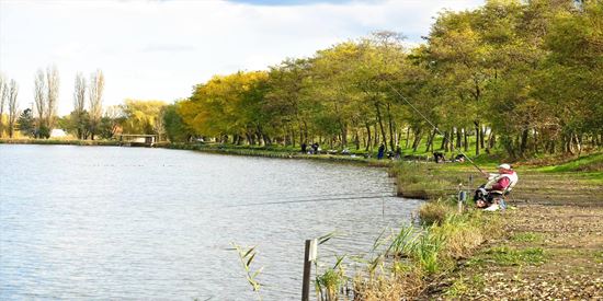 Balta Creata 3, Ilfov